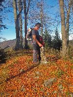 Paulmauer (249 Bildaufrufe)