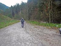 Bild 2 (295 Bildaufrufe)