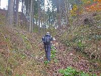 Bild 3 (263 Bildaufrufe)