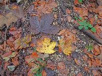 Bild 4 (257 Bildaufrufe)
