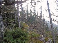 Bild 9 (258 Bildaufrufe)