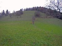 Bild 9 (244 Bildaufrufe)