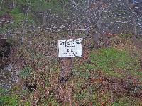 Bild 2 (251 Bildaufrufe)