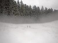 Bild 4 (224 Bildaufrufe)