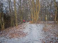 Bild 4 (204 Bildaufrufe)