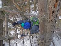 Bild 6 (220 Bildaufrufe)