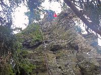 Bild 14 (250 Bildaufrufe)