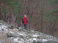 Bild 18 (225 Bildaufrufe)