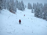 Tirolerkogel (227 Bildaufrufe)