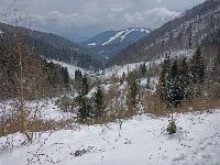 Bild 2 (228 Bildaufrufe)