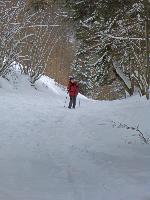 Bild 4 (216 Bildaufrufe)