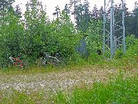 Bild 5 (181 Bildaufrufe)