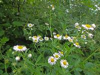 Bild 10 (182 Bildaufrufe)