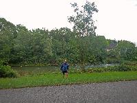 Bild 13 (159 Bildaufrufe)
