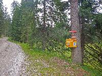 Bild 1 (189 Bildaufrufe)