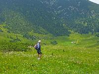 Bild 7 (187 Bildaufrufe)