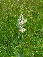 Bild 16 (205 Bildaufrufe)