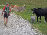Dobratsch (178 Bildaufrufe)