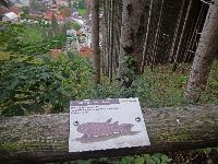 Bild 4 (196 Bildaufrufe)