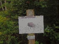 Bild 5 (213 Bildaufrufe)