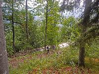 Bild 6 (210 Bildaufrufe)
