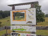Bild 7 (188 Bildaufrufe)