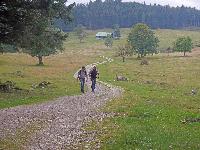 Bild 8 (225 Bildaufrufe)