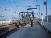 Bild 1 (192 Bildaufrufe)