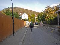 Bisamberg (174 Bildaufrufe)