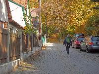 Bisamberg (213 Bildaufrufe)