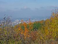 Bild 10 (192 Bildaufrufe)