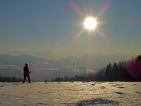 Bild 4 (158 Bildaufrufe)