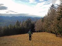 Bild 8 (169 Bildaufrufe)