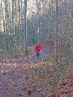 Bild 3 (213 Bildaufrufe)