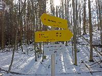 Bild 1 (153 Bildaufrufe)