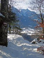 Bild 4 (182 Bildaufrufe)