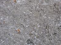 Bild 8 (175 Bildaufrufe)