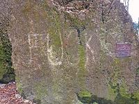 Bild 10 (261 Bildaufrufe)