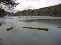 Bild 3 (182 Bildaufrufe)