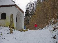 Bild 11 (211 Bildaufrufe)