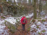 Bild 17 (202 Bildaufrufe)