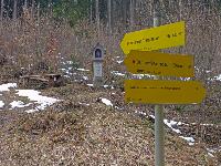 Bild 4 (223 Bildaufrufe)