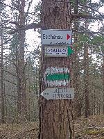 Bild 10 (216 Bildaufrufe)