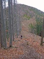 Bild 15 (174 Bildaufrufe)