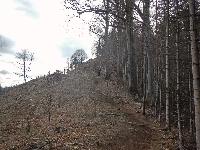 Bild 16 (234 Bildaufrufe)