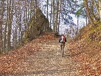 Hadeggerkogel (230 Bildaufrufe)