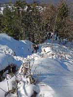 Bild 11 (183 Bildaufrufe)