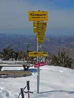 Muckenkogel (206 Bildaufrufe)