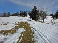 Bild 17 (158 Bildaufrufe)