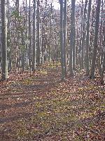 Bild 21 (205 Bildaufrufe)